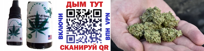 Еда ТГК марихуана  где найти   Анжеро-Судженск 