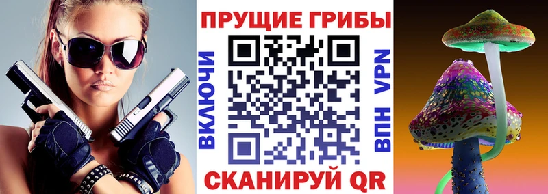 Галлюциногенные грибы Cubensis  Анжеро-Судженск 