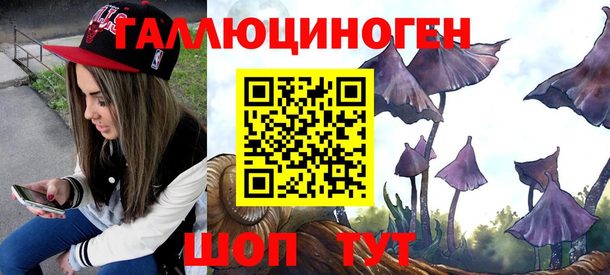 купить наркотики цена  Вход с VPN  Анжеро-Судженск  Галлюциногенные грибы MAGIC MUSHROOMS 